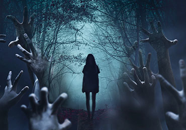 A shadow of a girl in a dark forest with hands
