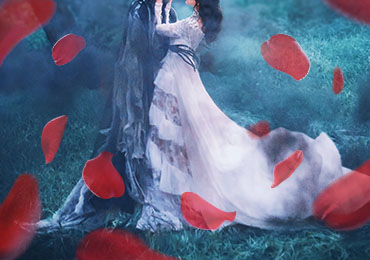 Romantic couple with rose petals