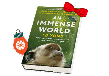 Book cover: An Immense World by Ed Yong