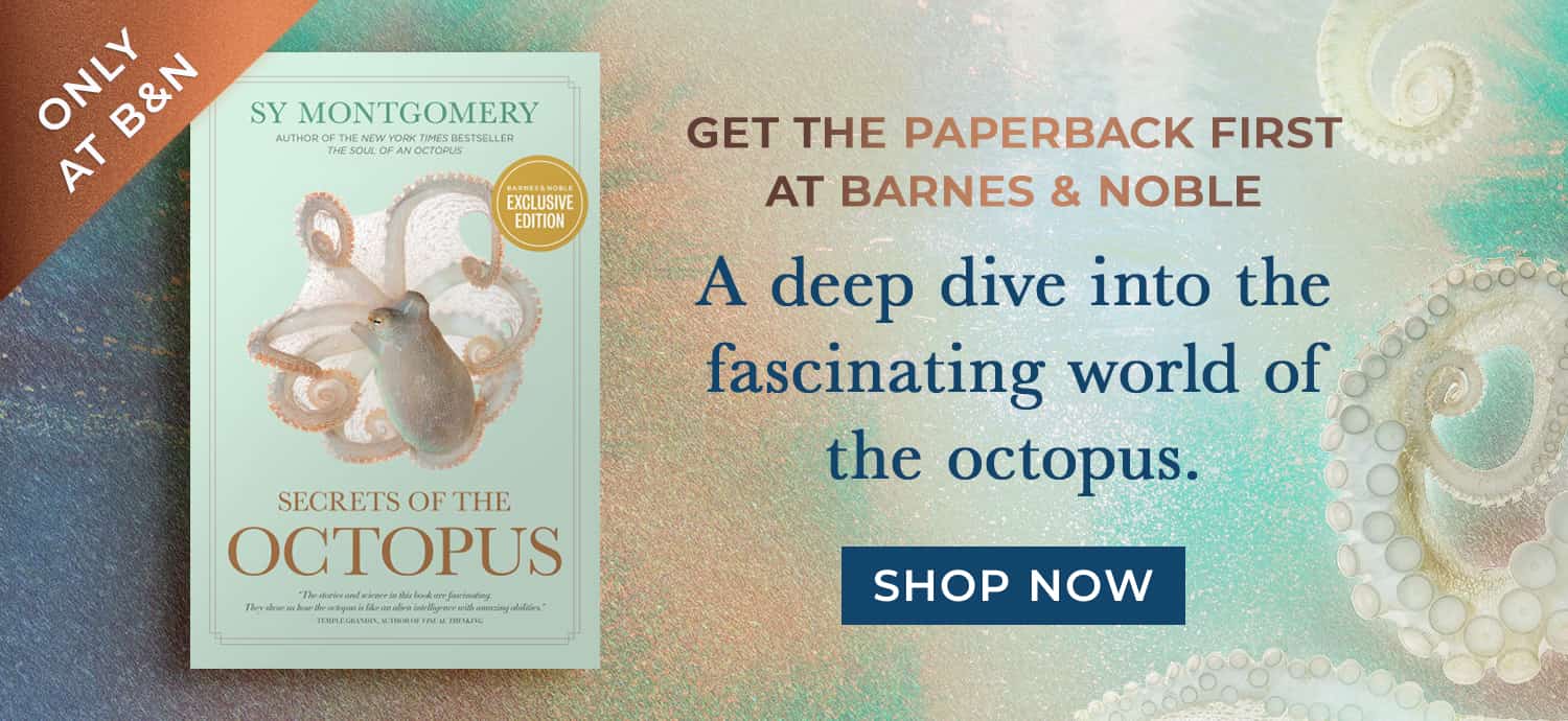Only at B&N: Get the Paperback First at Barnes & Noble - A deep dive into the fascinating world of the octopus. Secrets of the Octopus (B&N Exclusive Edition) by Sy Montgomery. Shop Now