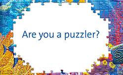 Are you a puzzler?
