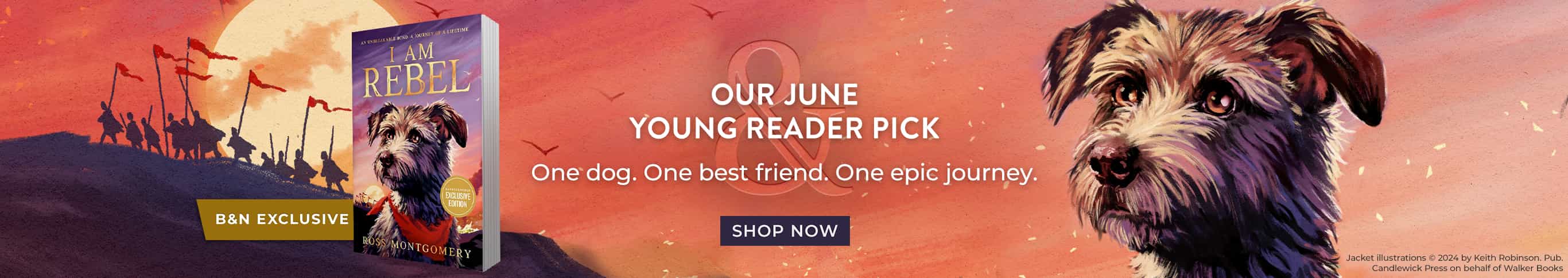 B&N Exclusive - Our June Young Reader Pick: One dog. One best friend. One epic journey. I Am Rebel (B&N Exclusive Edition) by Ross Montgomery. Shop Now