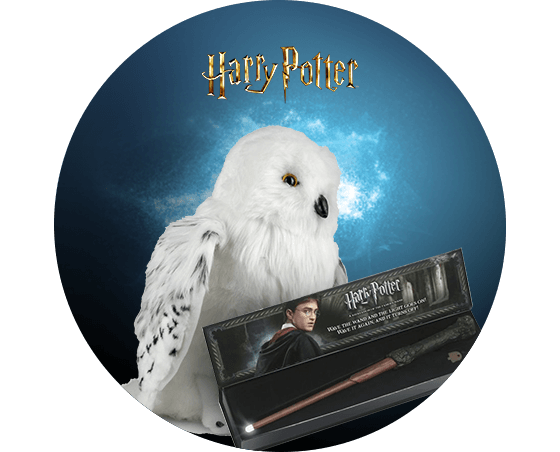 Muñeco Harry Potter / - Libria Store