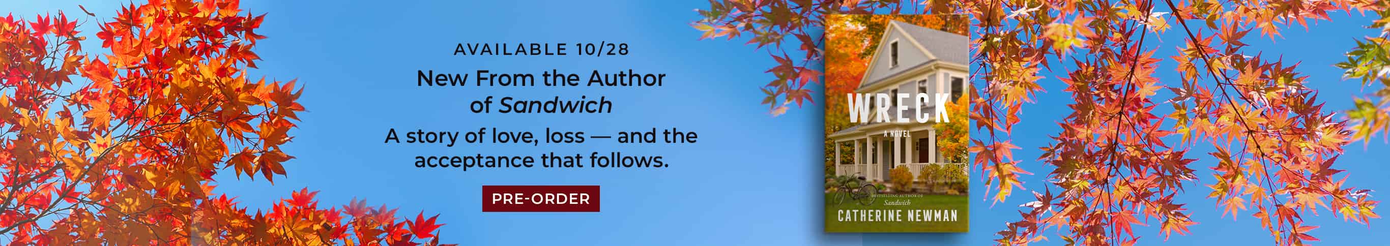 Featured title: Wreck.  Available 10/28. New from teh Author of The Sandwich. Pre-Order